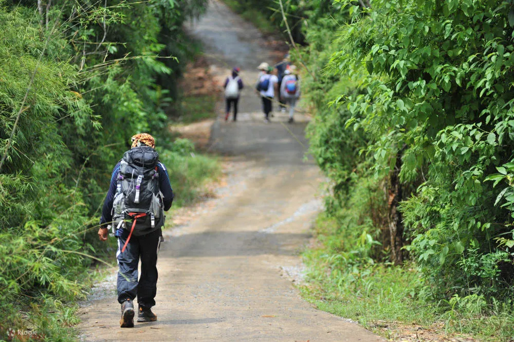 trail-nui-dinh.jpg