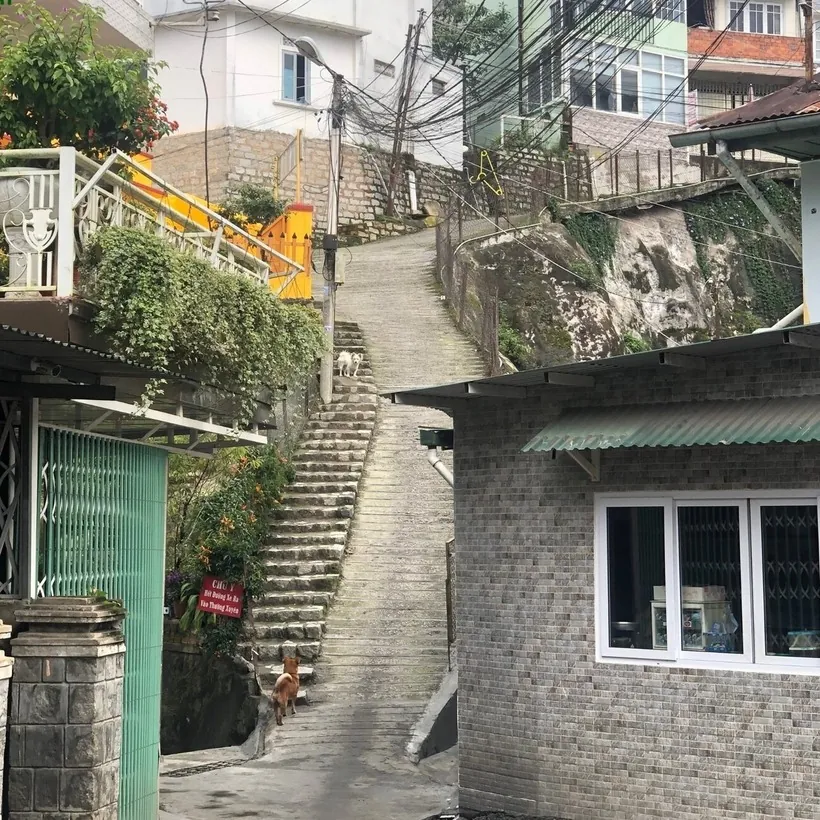 city hill.jpg