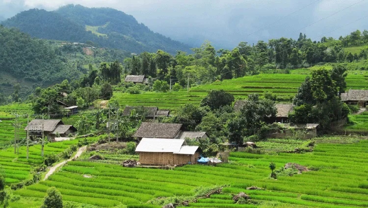 Cát Cát – Ý Linh Hồ – Lao Chải.png