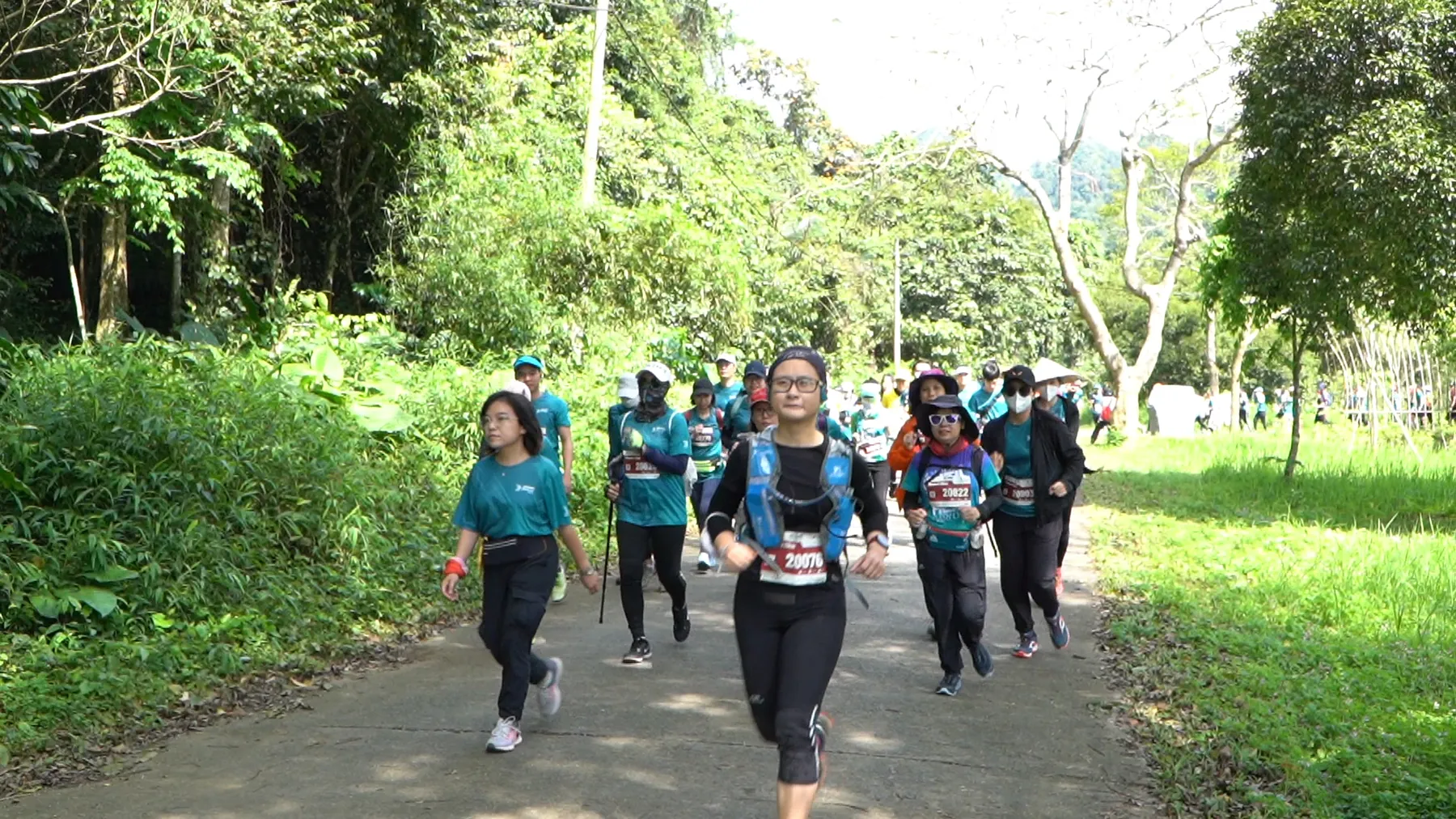 Cúc Phương Jungle Paths.jpg