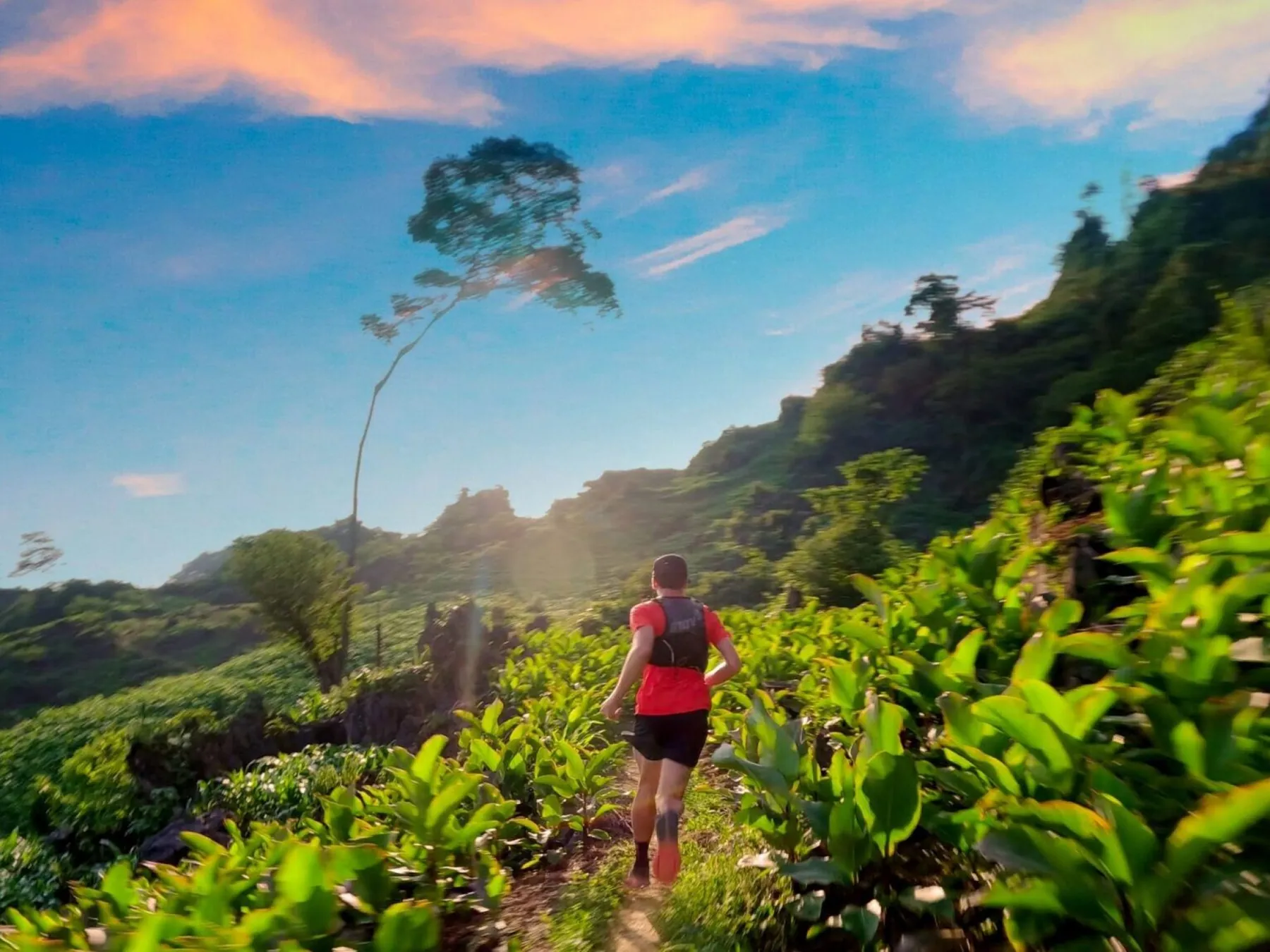 Vietnam Ultra Marathon .jpeg