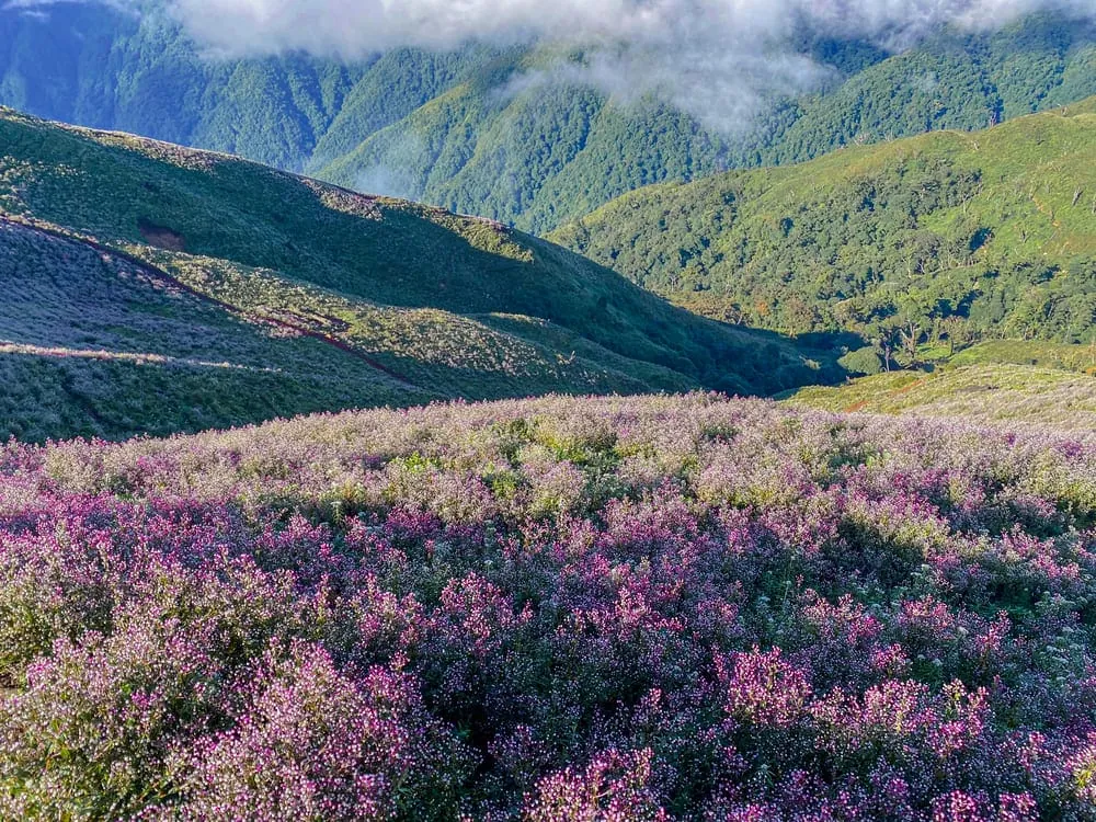 Tà Chì Nhù.jpg
