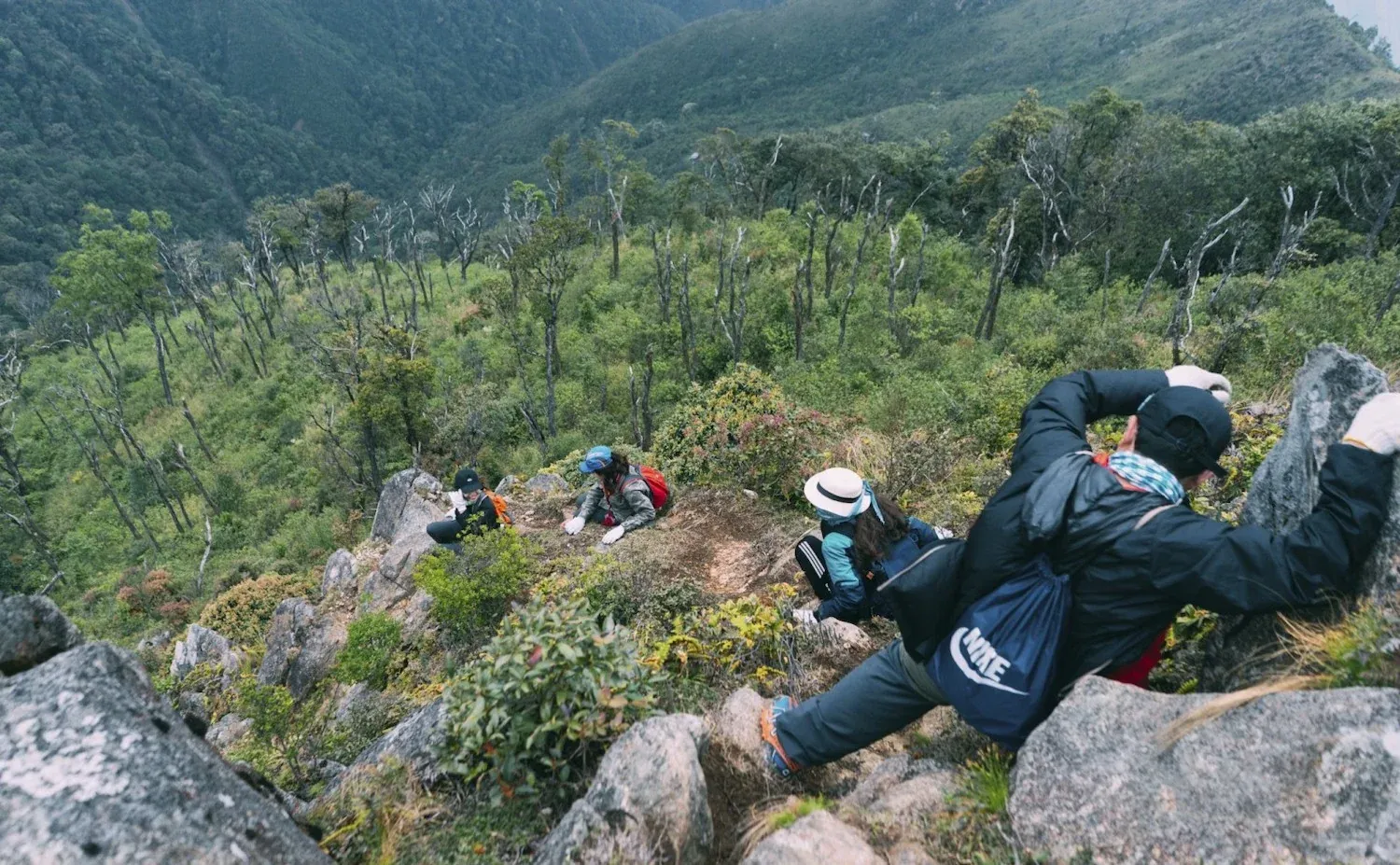 trekking tà xùa.webp