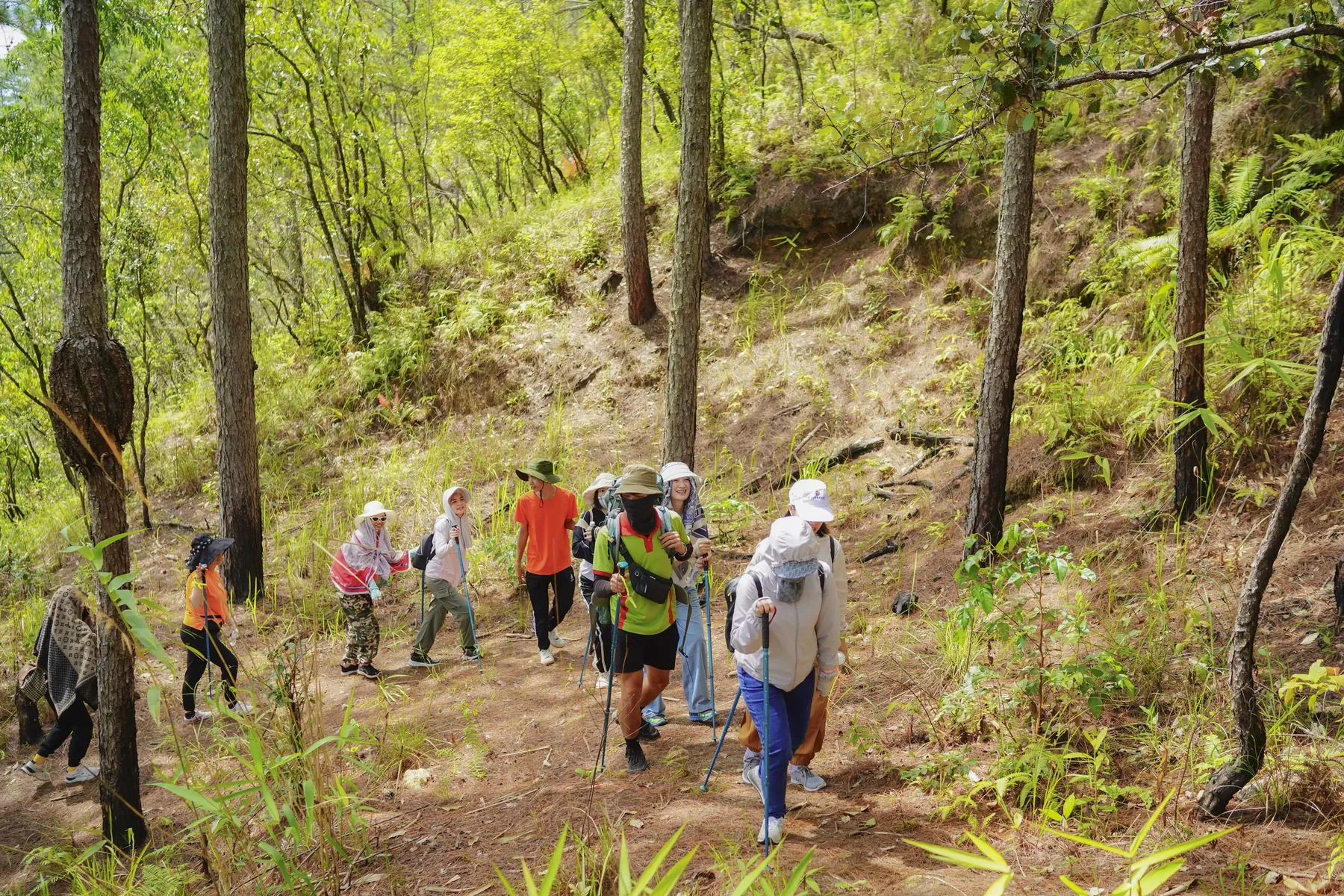 TREKKING.webp