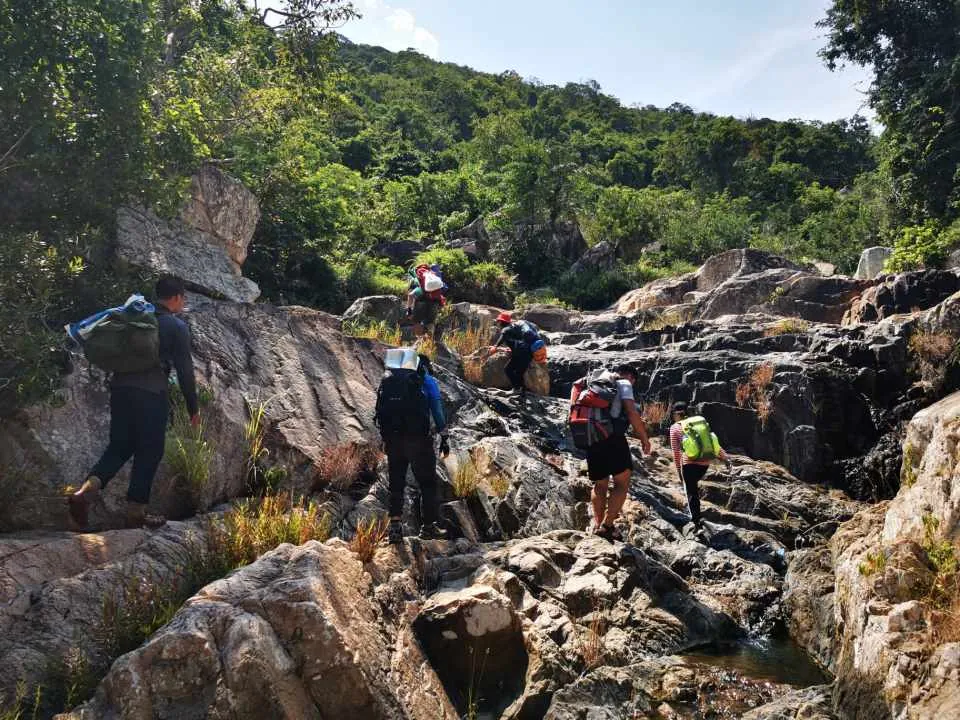 TREKKING.webp
