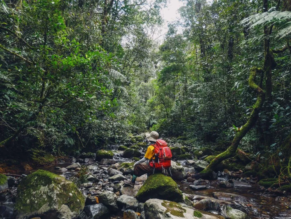 bidoup tà giang.jpg