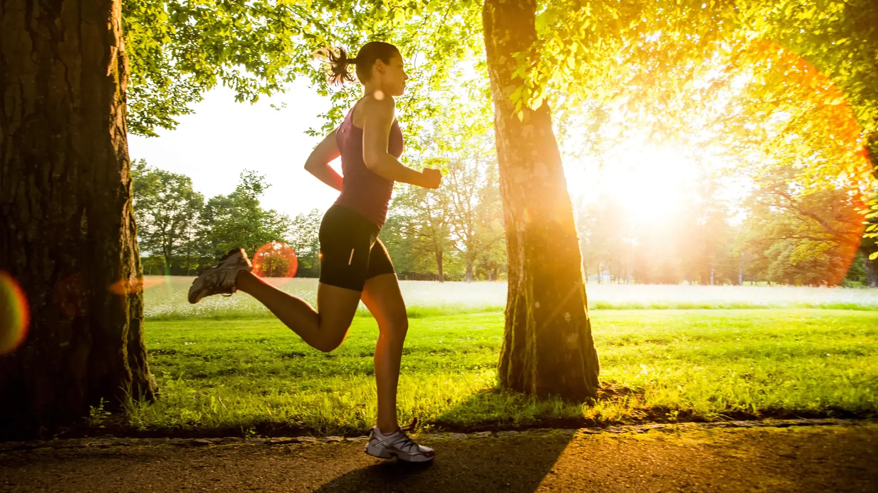 long run.webp